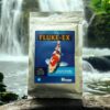 Fluke Ex